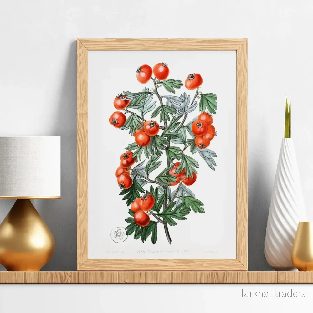 Doftande hagtorn Poster