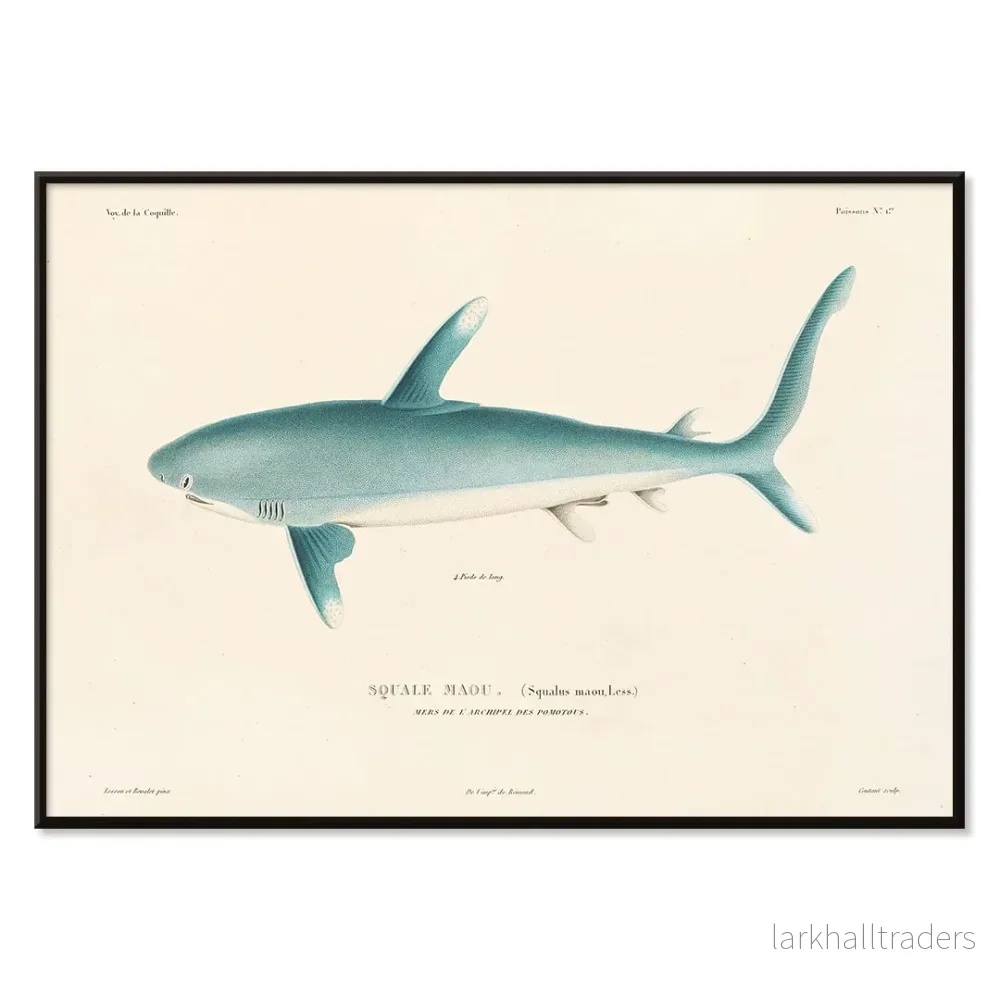 Voyage autour du monde 8 Poster - Bild 2