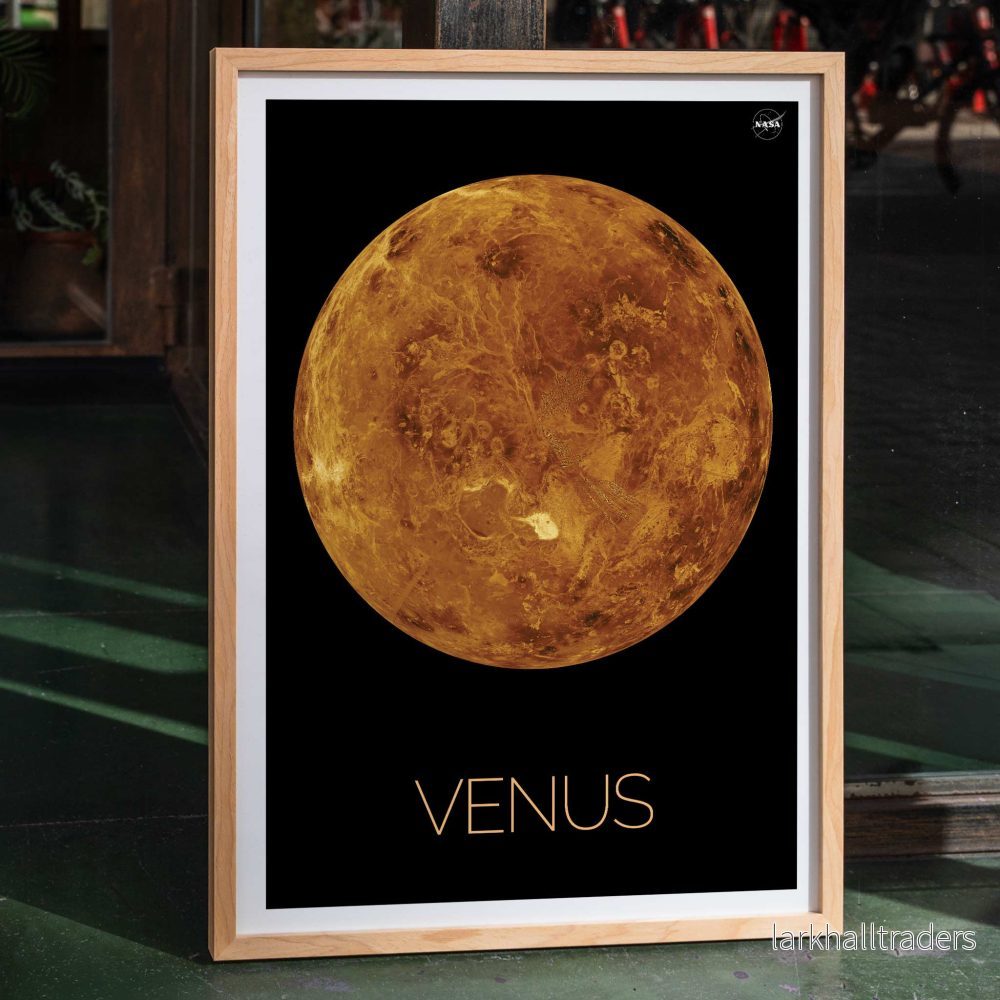 Venus Poster
