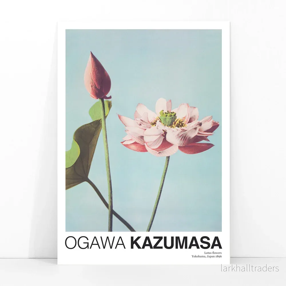 Lotusblommor Poster - Bild 3