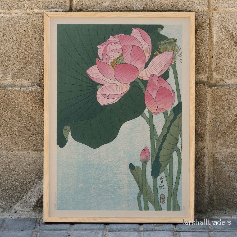 Blommande lotusblommor Poster Blommande lotusblommor Poster