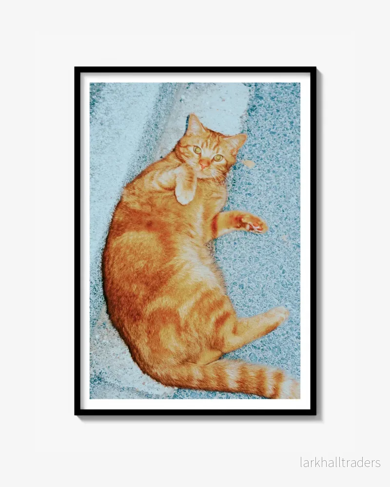 Orange Cat – Fine Art Print Orange Cat – Fine Art Print