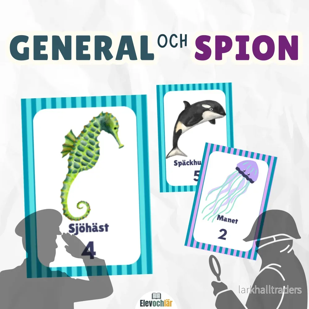 General och spion med havstema. Idrott och rastlek. - Bild 2