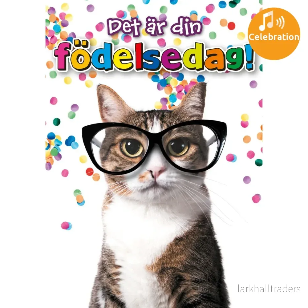 Dubbla kort med ljudeffekt, din födelsedag Dubbla kort med ljudeffekt, din födelsedag