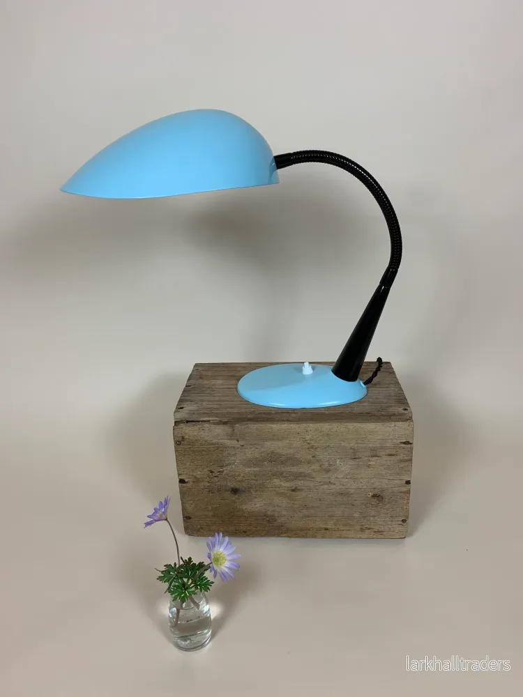 Kosacklampa – Sällsynt modell