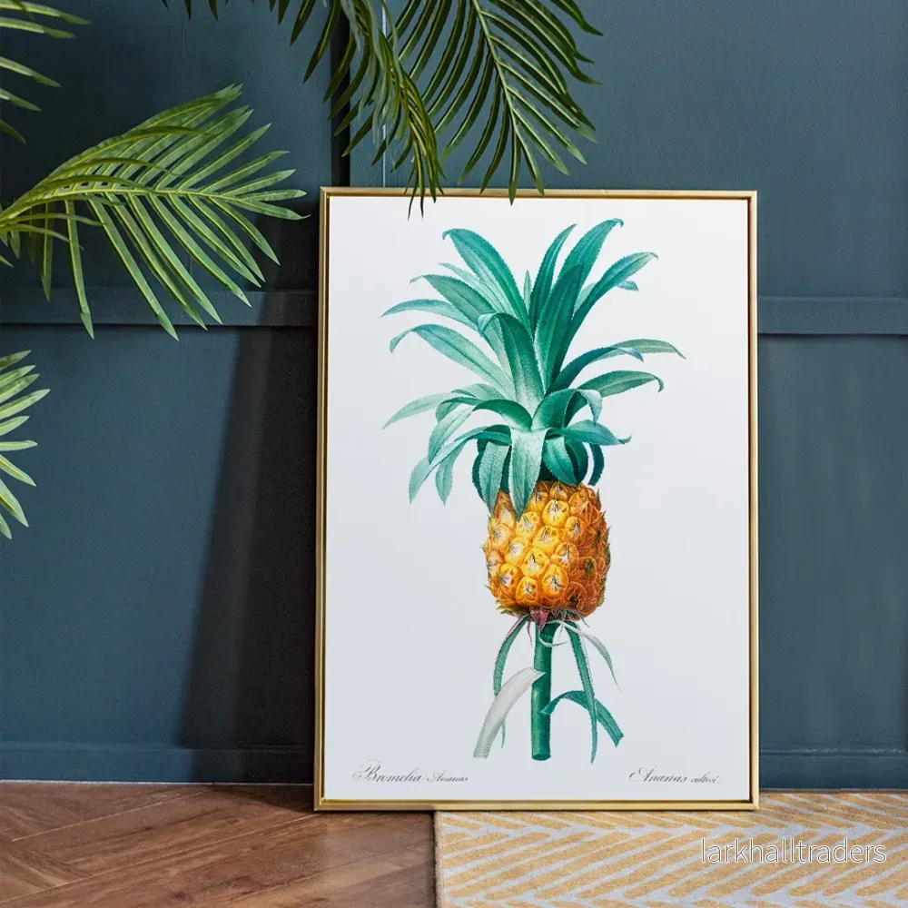 Ananas Poster