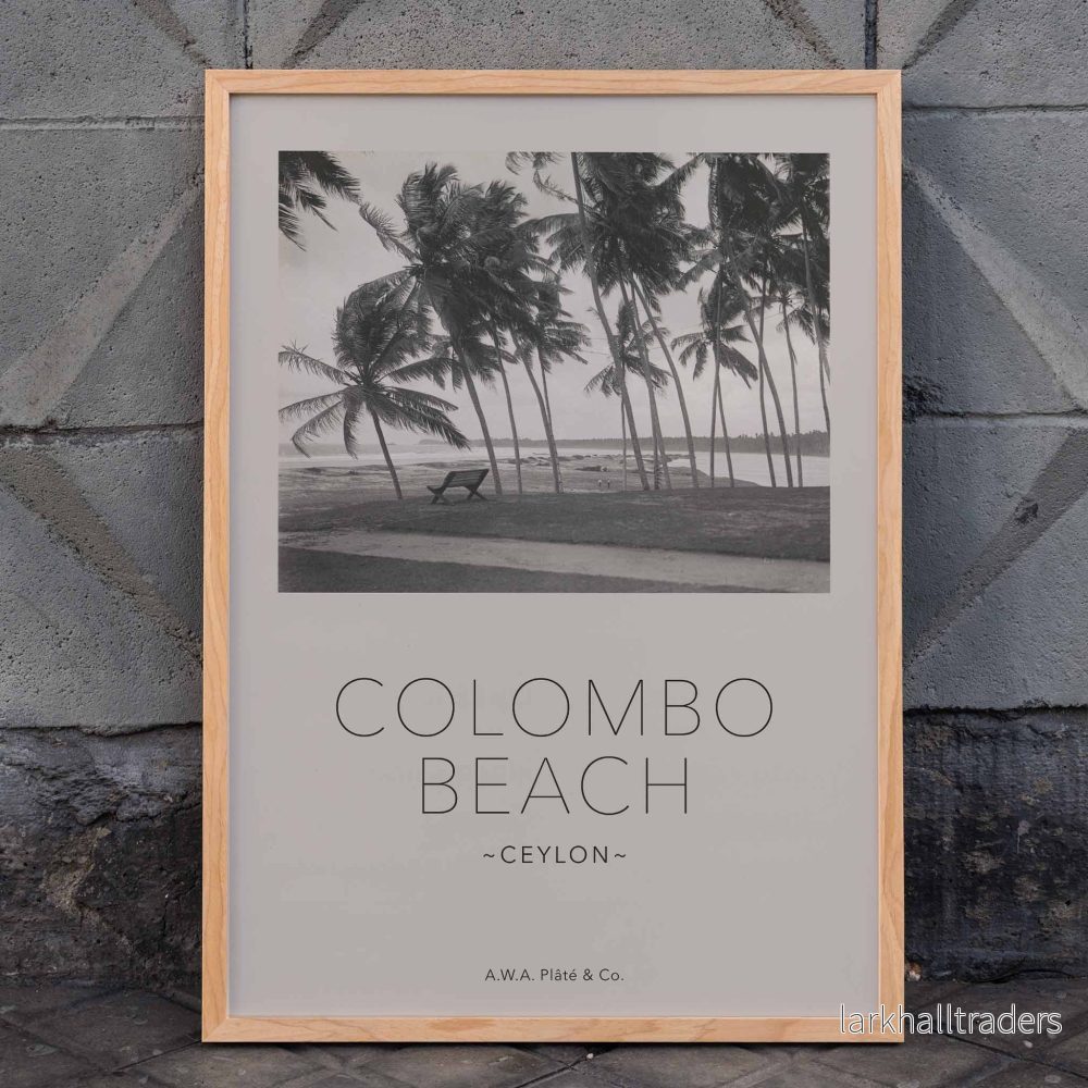 Colombo strand i Ceylon Poster