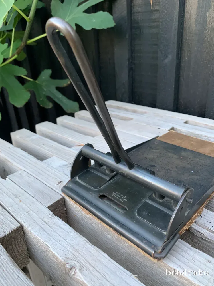 Rolig gammal hålslagare - Bild 3